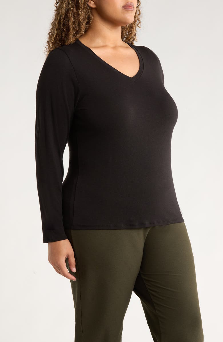 Eileen Fisher V-Neck Long Sleeve T-Shirt, Alternate, color, Black