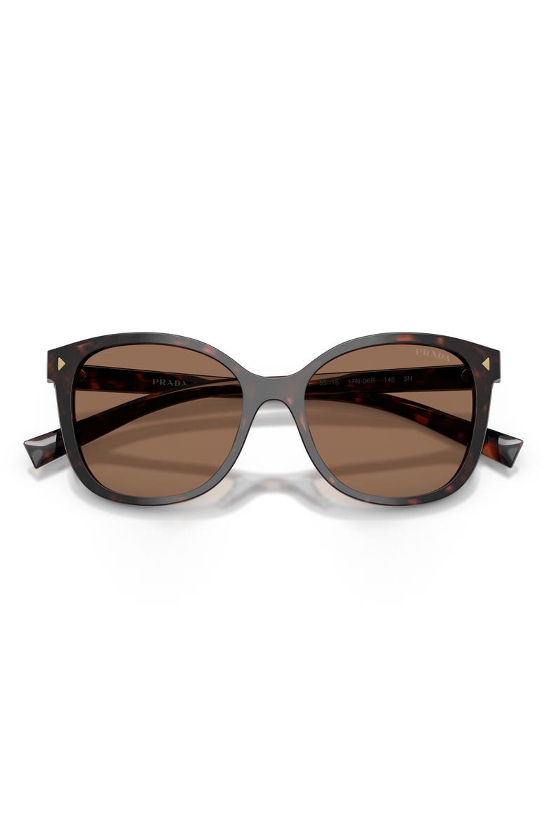 Prada 53mm Gradient Square Sunglasses, Main, color, Root Tortoise / Dark Brown