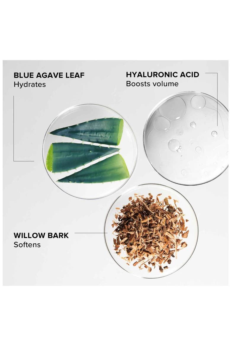 Willow & Sweet Agave Plumping Lip Mask, Alternate, color, NO COLOR