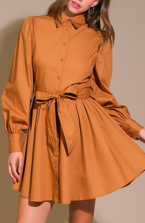 Flying Tomato Solid Mini Shirtdress In Brown