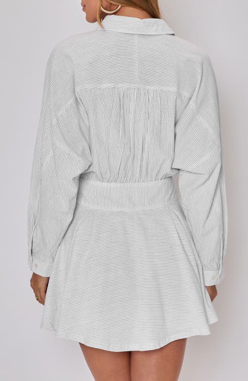 Vici Collection Taylor Stripe Long Sleeve Cotton & Linen Mini Shirtdress In Animal Print