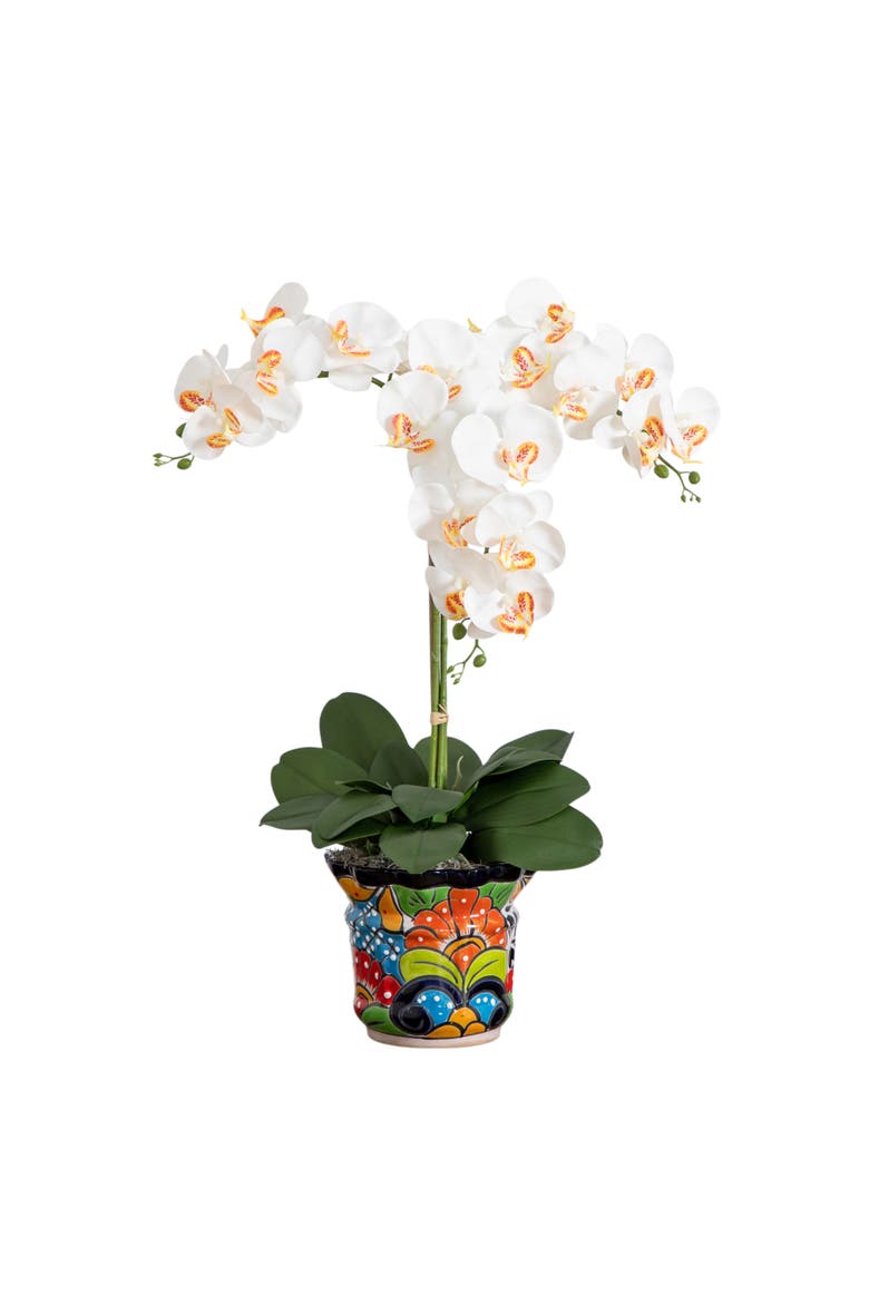 27-in Artificial Triple Orchid Arrangement in Handmade Mexican Talavera Ceramic Planter, Main, color, Green