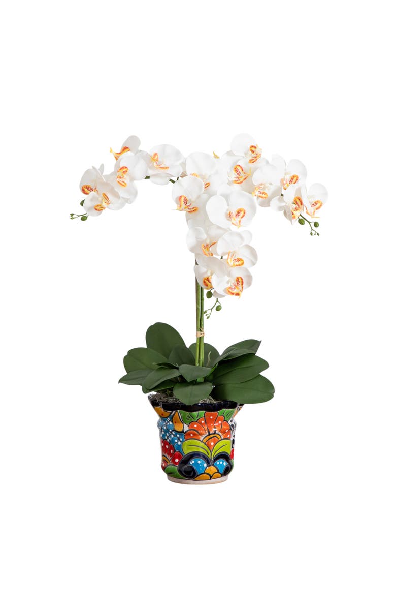 NEARLY NATURAL 27-in Artificial Triple Orchid Arrangement in Handmade Mexican Talavera Ceramic Planter, Main, color, Green