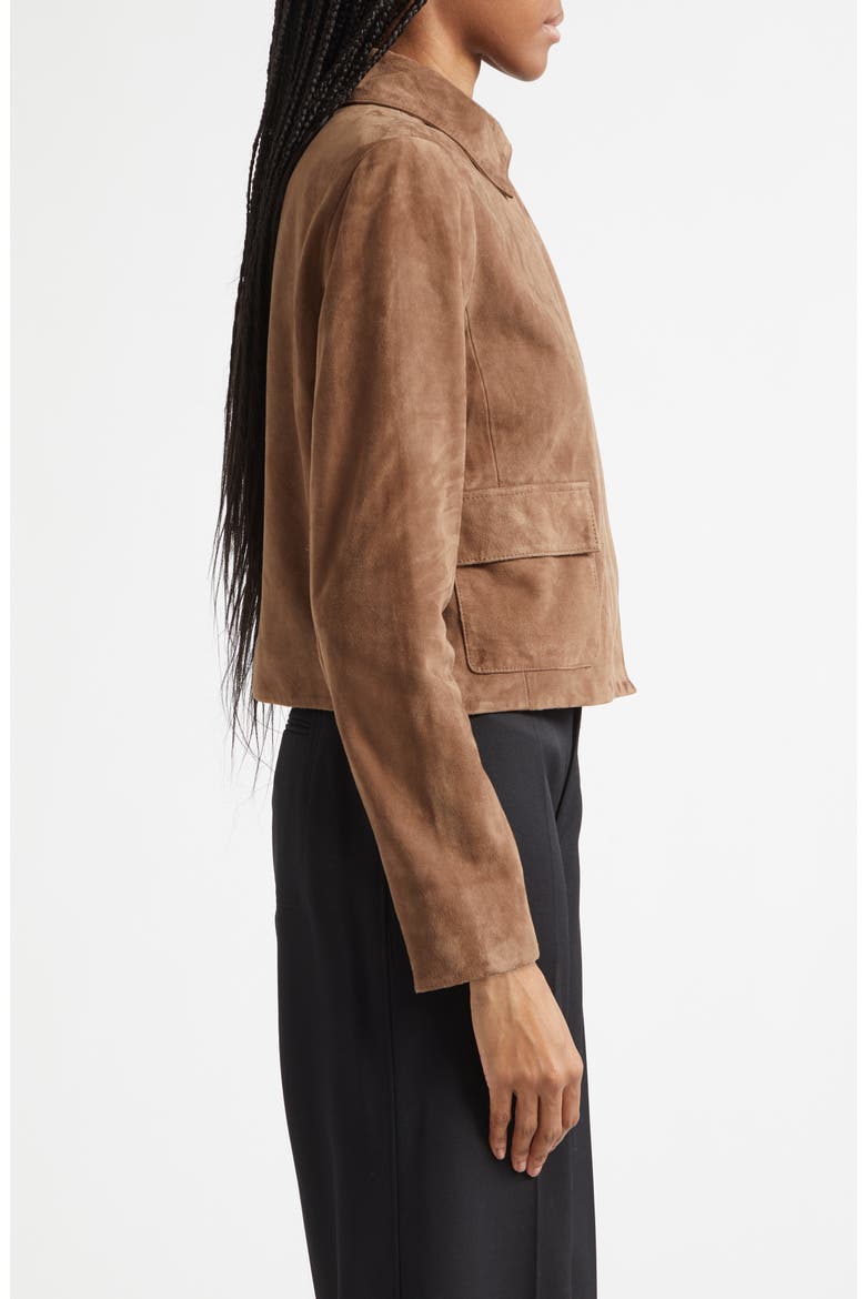 Dylan Suede Jacket, Alternate, color, TAUPE NEUTRAL