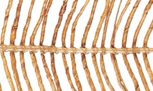 Sonoma Sage Home Set Of 2 Natural Bamboo Wood Leaf Twigs In Light Brown