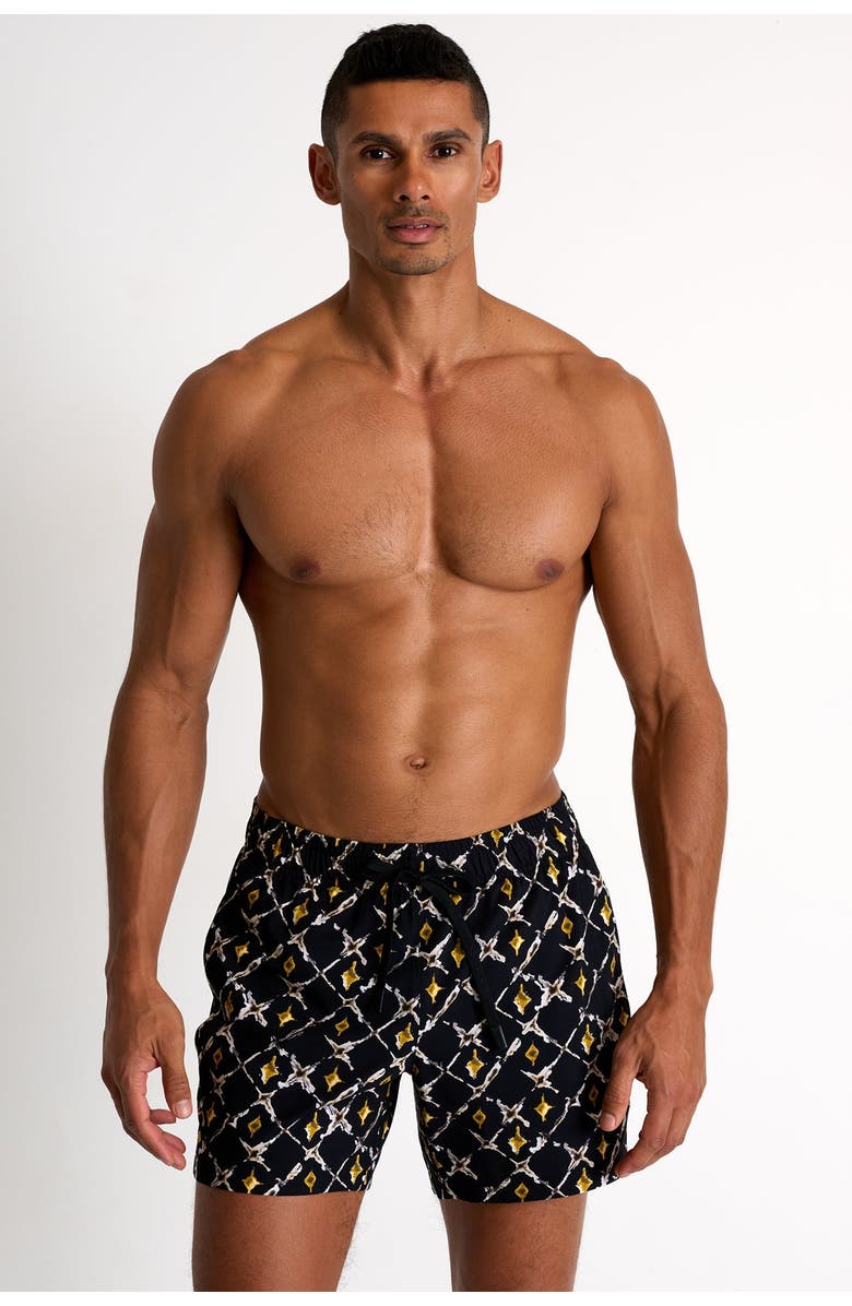 SHAN Classic fit stretch swim trunks, Alternate, color,