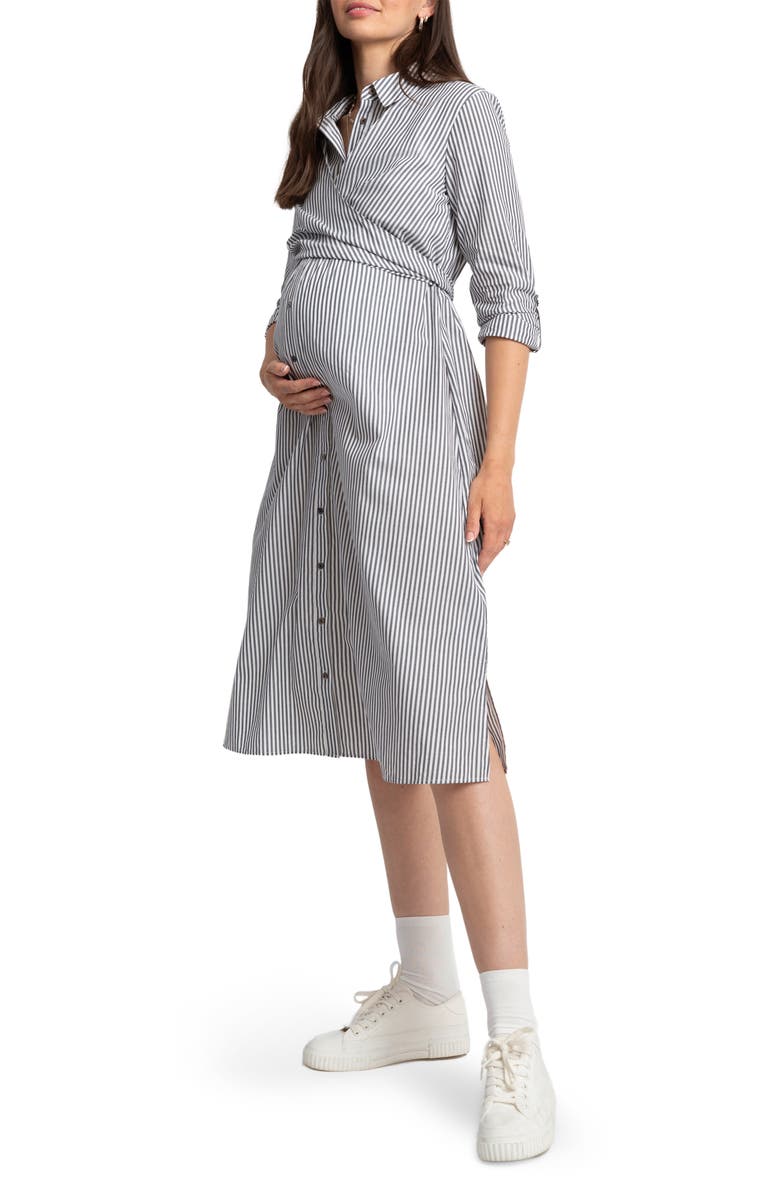 Seraphine Stripe Long Sleeve Maternity/Nursing Midi Shirtdress, Alternate, color, 