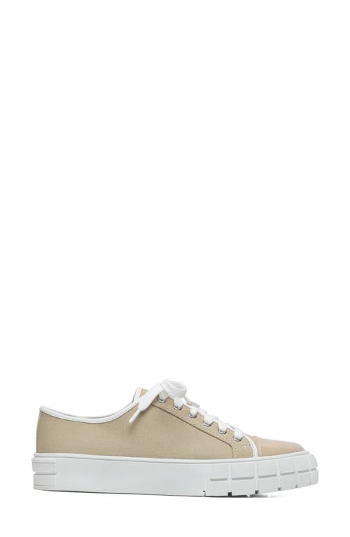 Shop Linea Paolo Kalaia Platform Sneaker In Sand/lotus