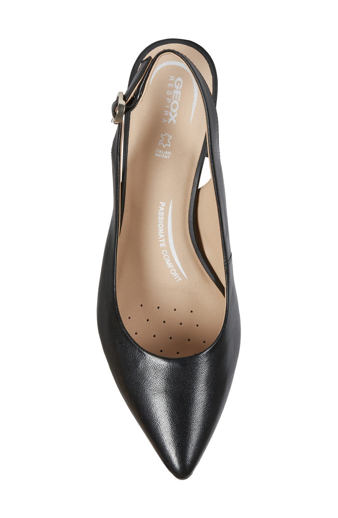 Geox Bigliana Pointed Toe Slingback Pump, Alternate, color, 