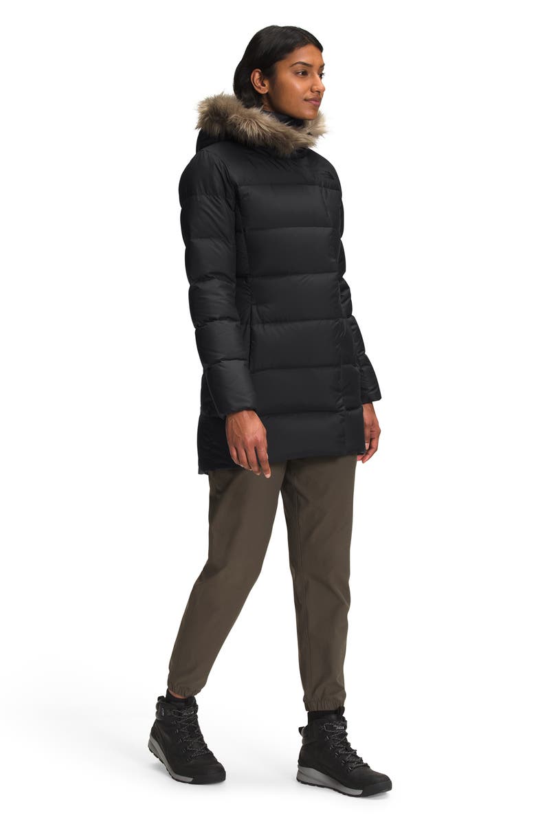 The North Face New Dealio Water Repellent 550 Fill Power Down Parka, Alternate, color, 