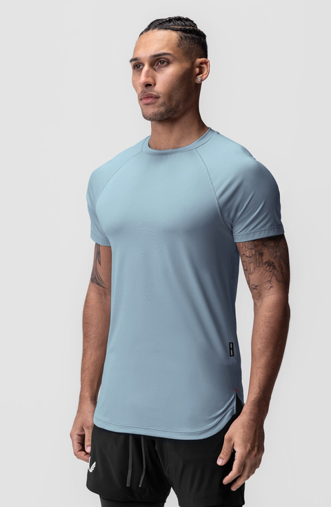 AeroSilver Established Tee