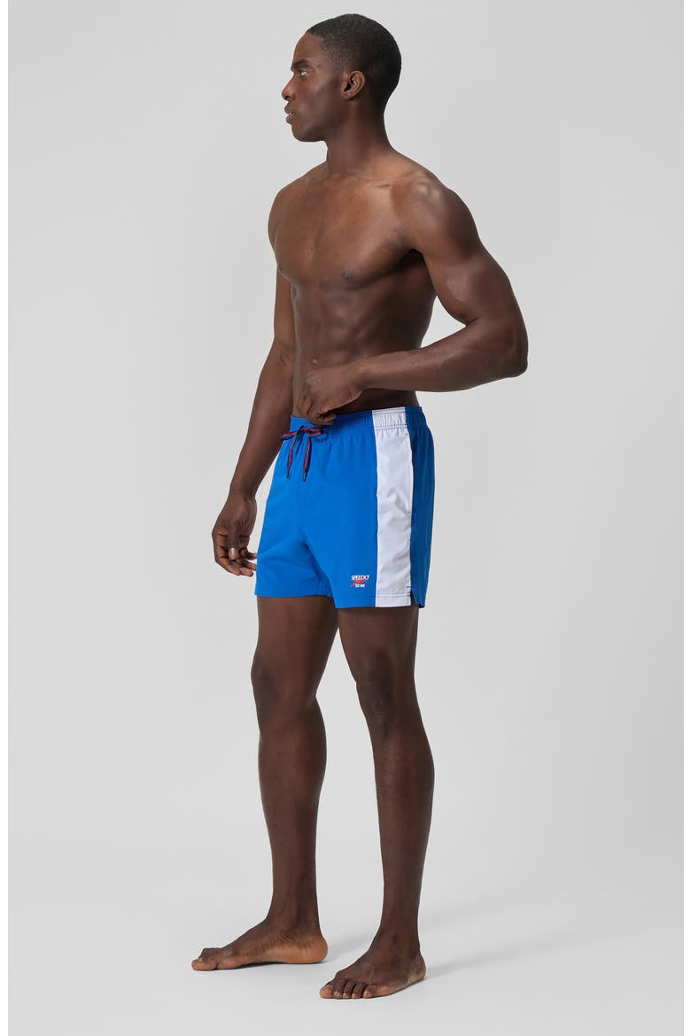 Volley 16-Inch Swim Trunks, Alternate, color, BLUE