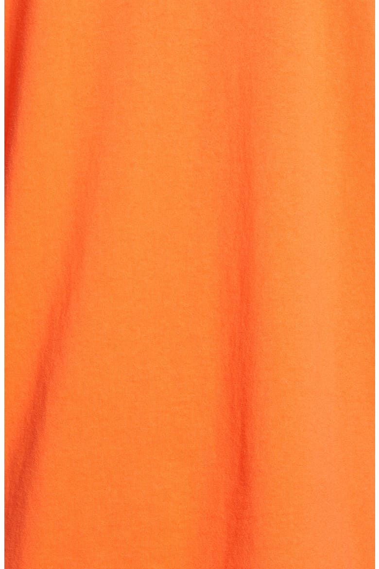 Trellis Worker Logo Graphic Cotton Hoodie, Alternate, color, ORANGE GREEN