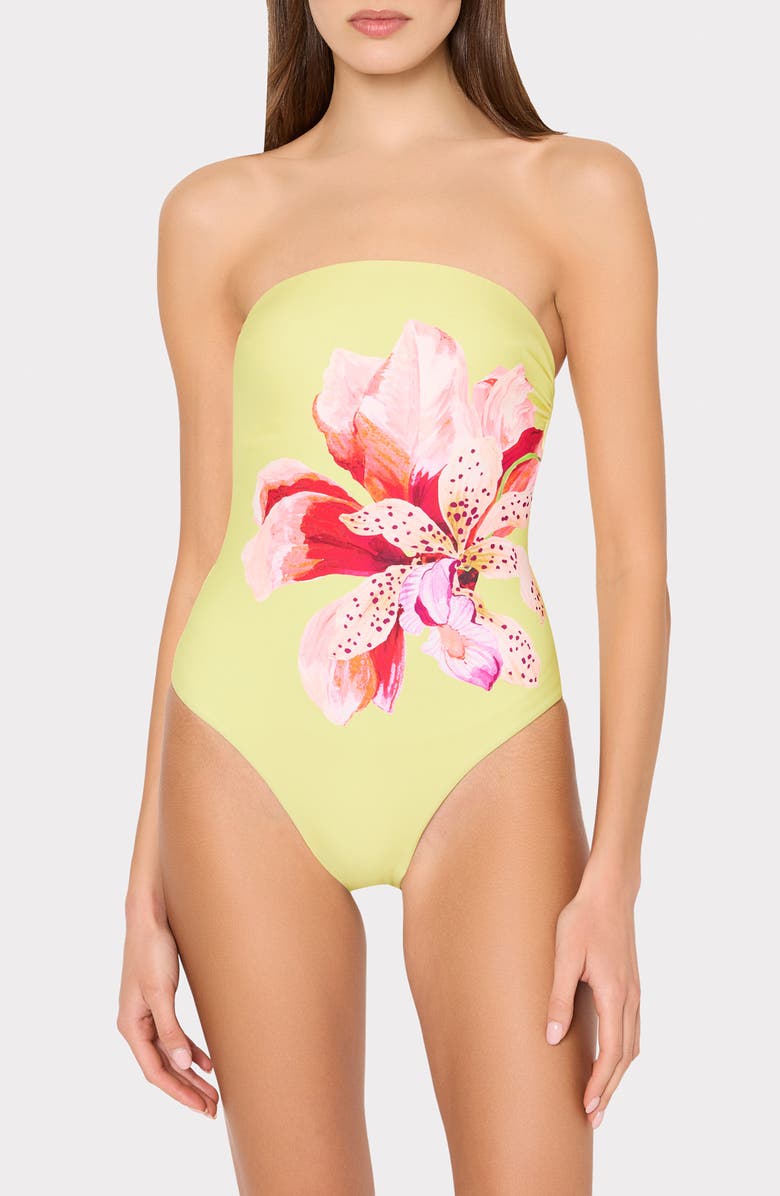 Milly Songe D'Iris Placement Print One-Piece Swimsuit, Main, color, 