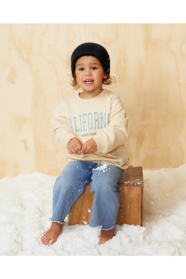 Hawthorne Toddler Fleck Beanie, Alternate, color, Black