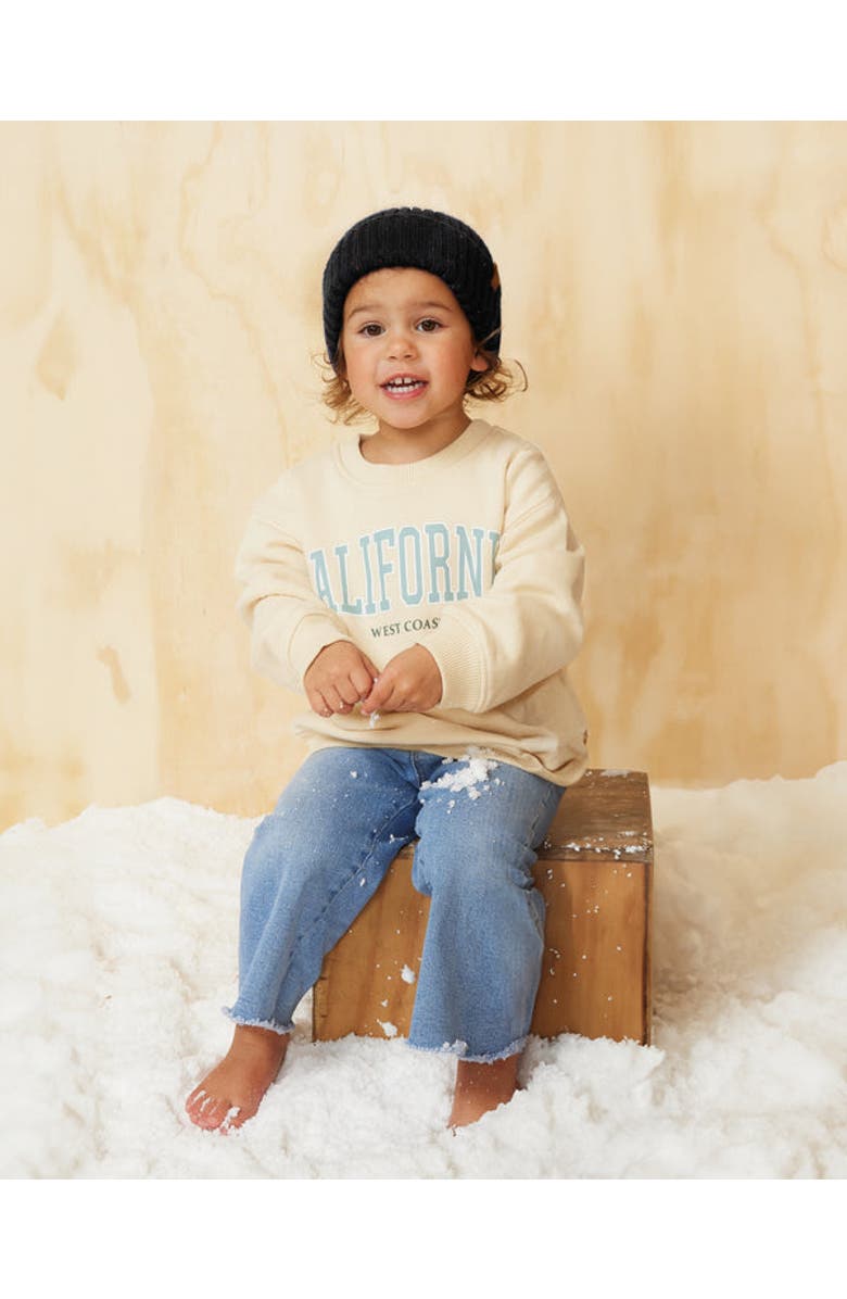 Hemlock Hawthorne Toddler Fleck Beanie, Alternate, color, 