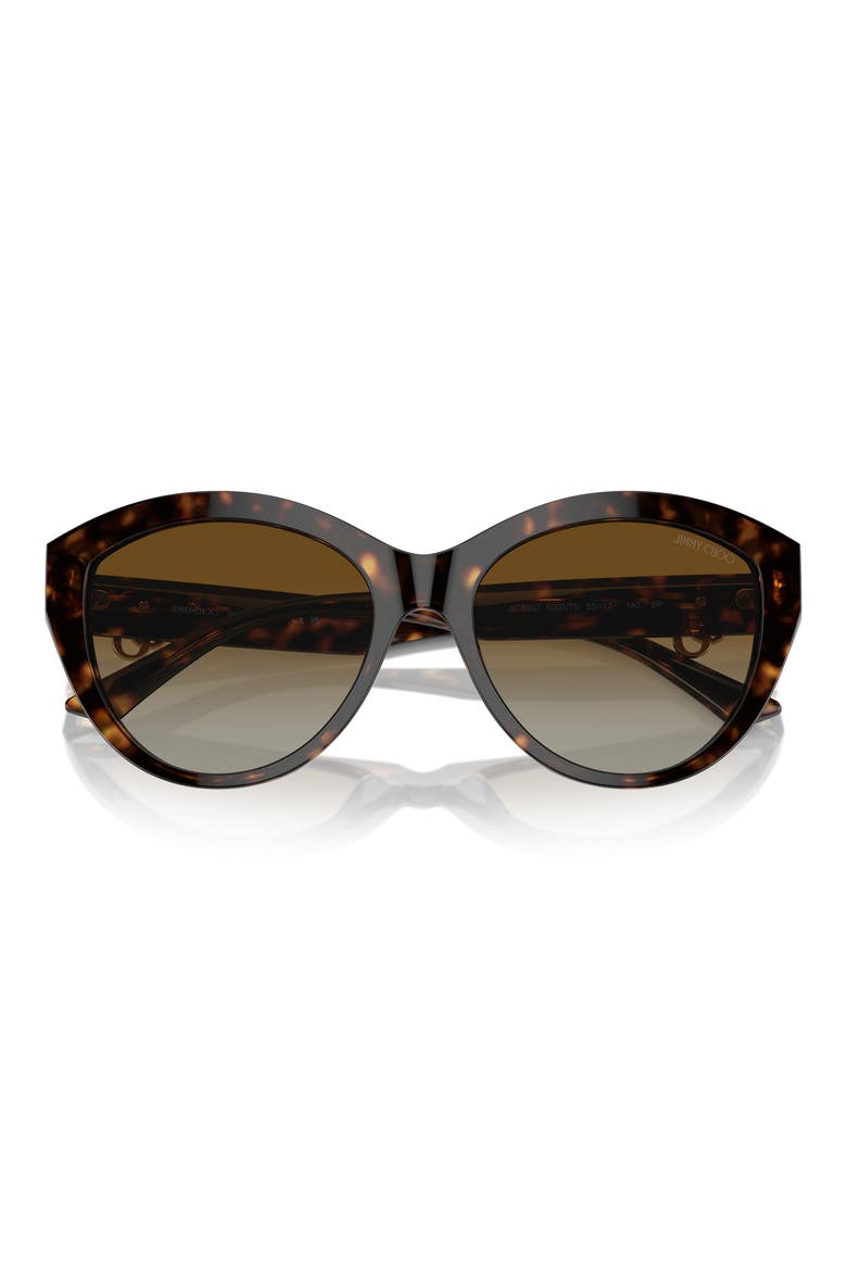 55mm Polarized Gradient Phantos Sunglasses, Alternate, color, HAVANA / POLAR GRADIENT BROWN