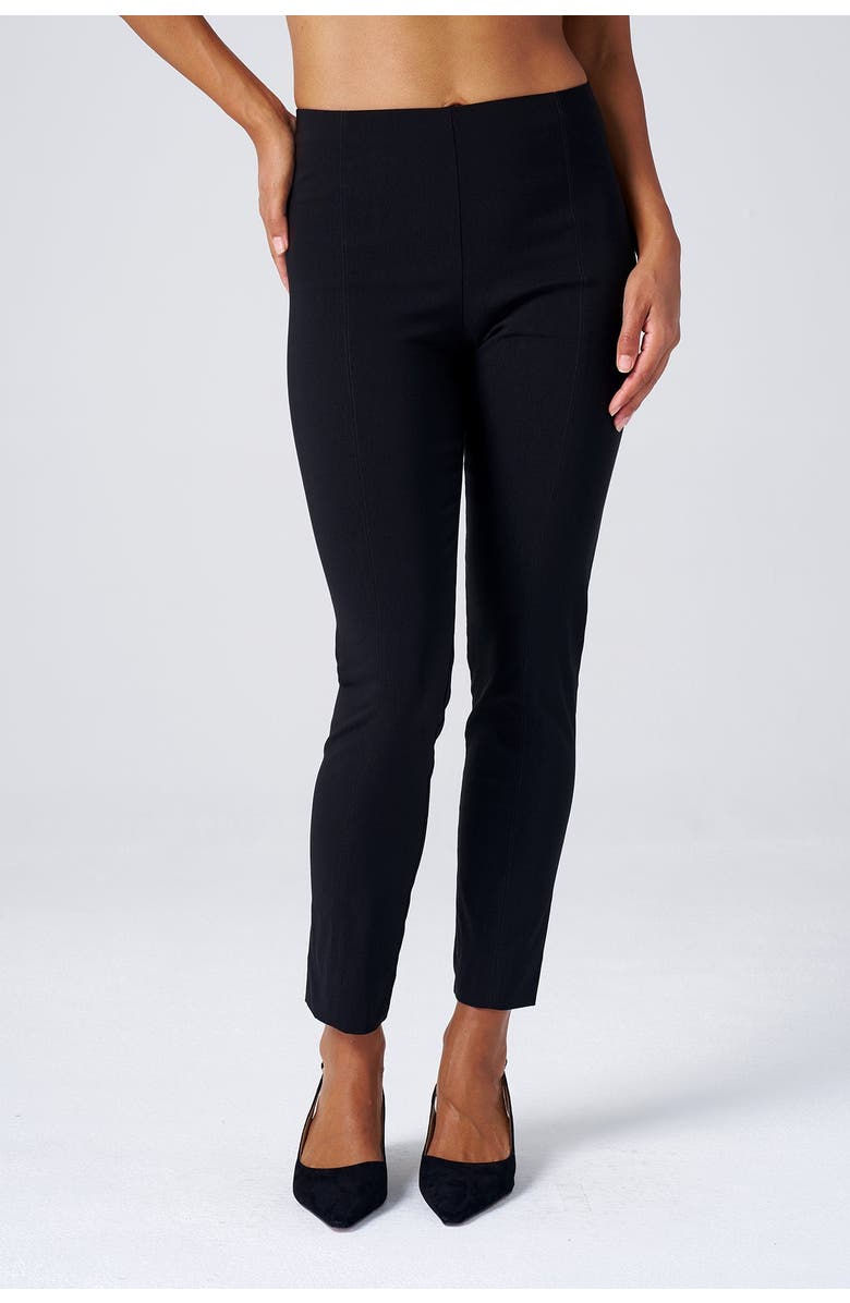 Franne Golde All Season Slim Stretch Ankle Pant with Back Slit, Main, color,