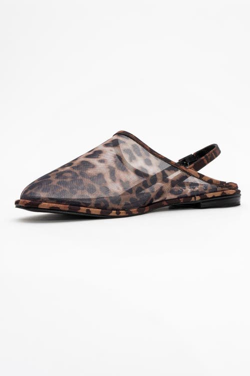 Prologue Shoes Shen Mesh Sandal