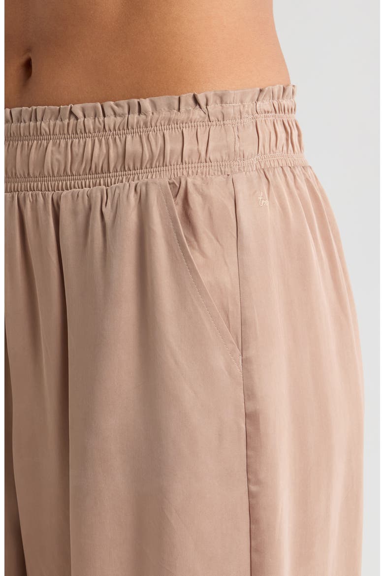 Chardonnay Sunday Wide Leg Pants, Alternate, color, ALMONDINE