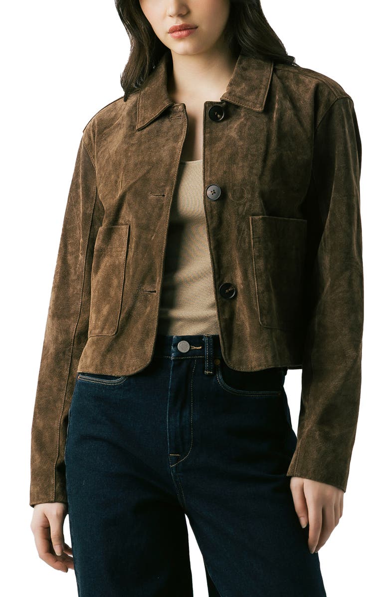 BLANKNYC Suede Crop Jacket, Alternate, color, 
