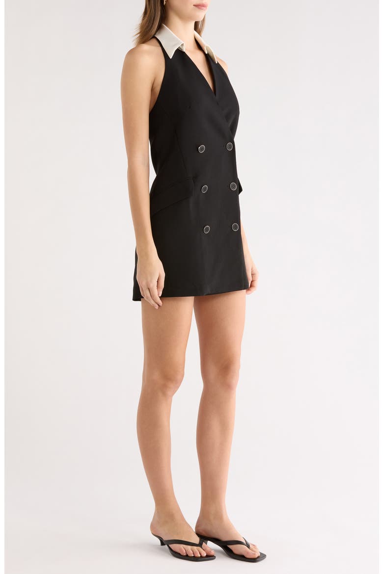 Perah Sleeveless Minidress, Alternate, color, BLACK