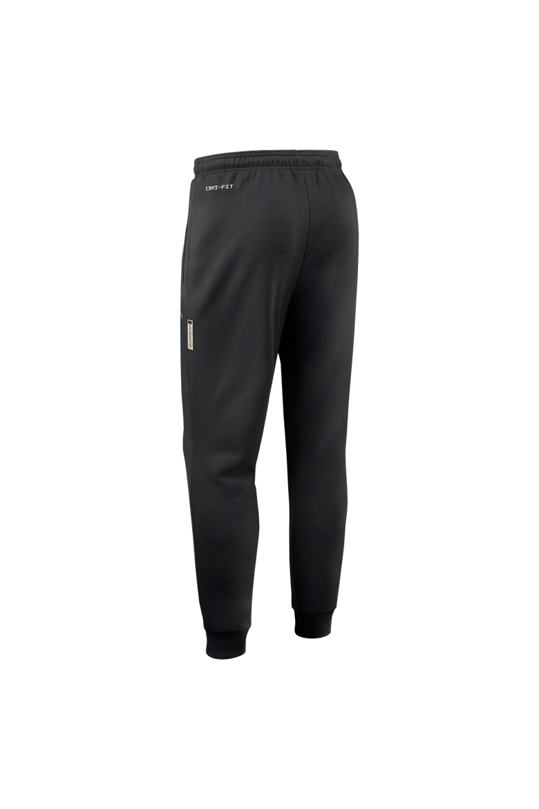 Men's Jordan Brand Black UCLA Bruins 2026 Sideline Standard Issue Dri-FIT Taper Pants, Alternate, color, Black