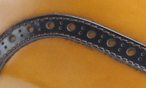 Vellapais Maine Colorblocked Oxford In Brown