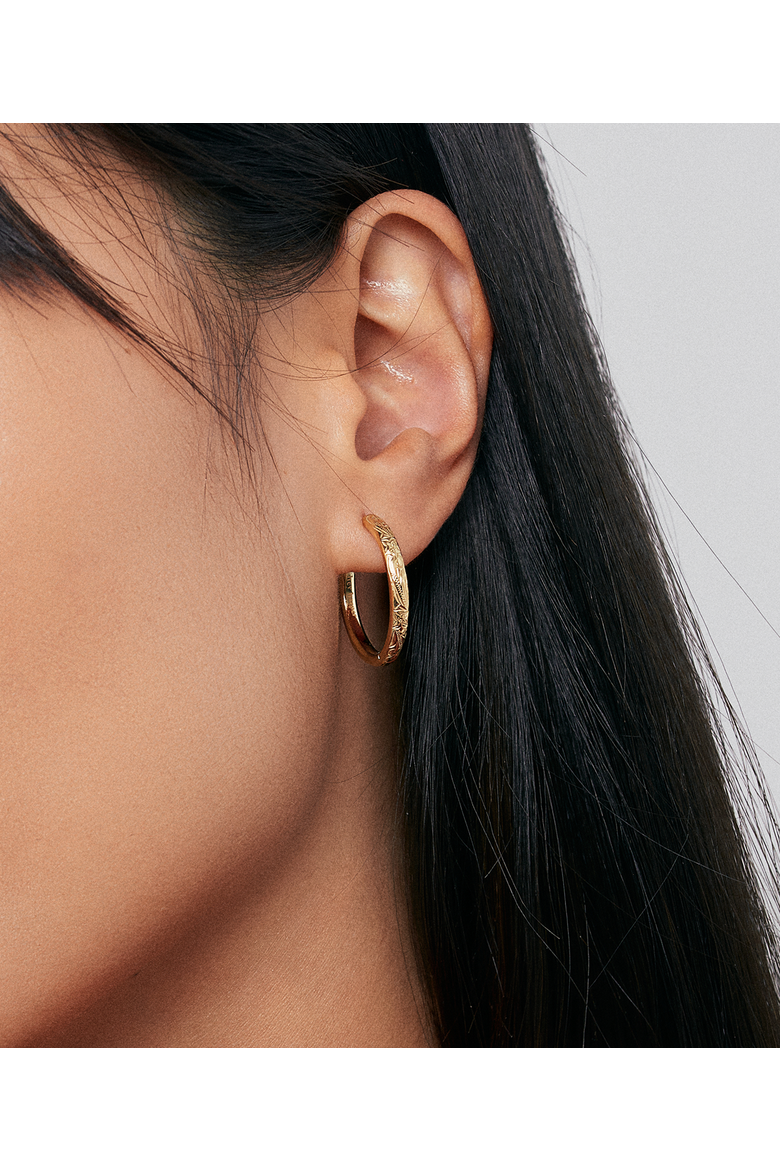 Daphne Earrings, Alternate, color, Gold