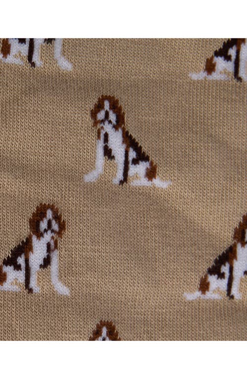 BARBOUR BARBOUR 3-PACK BEAGLE DOG SOCKS 