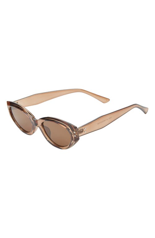 Bp. 50mm Oval Sunglasses In Clear Brown