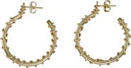 ALBISIA Spina Hoops
