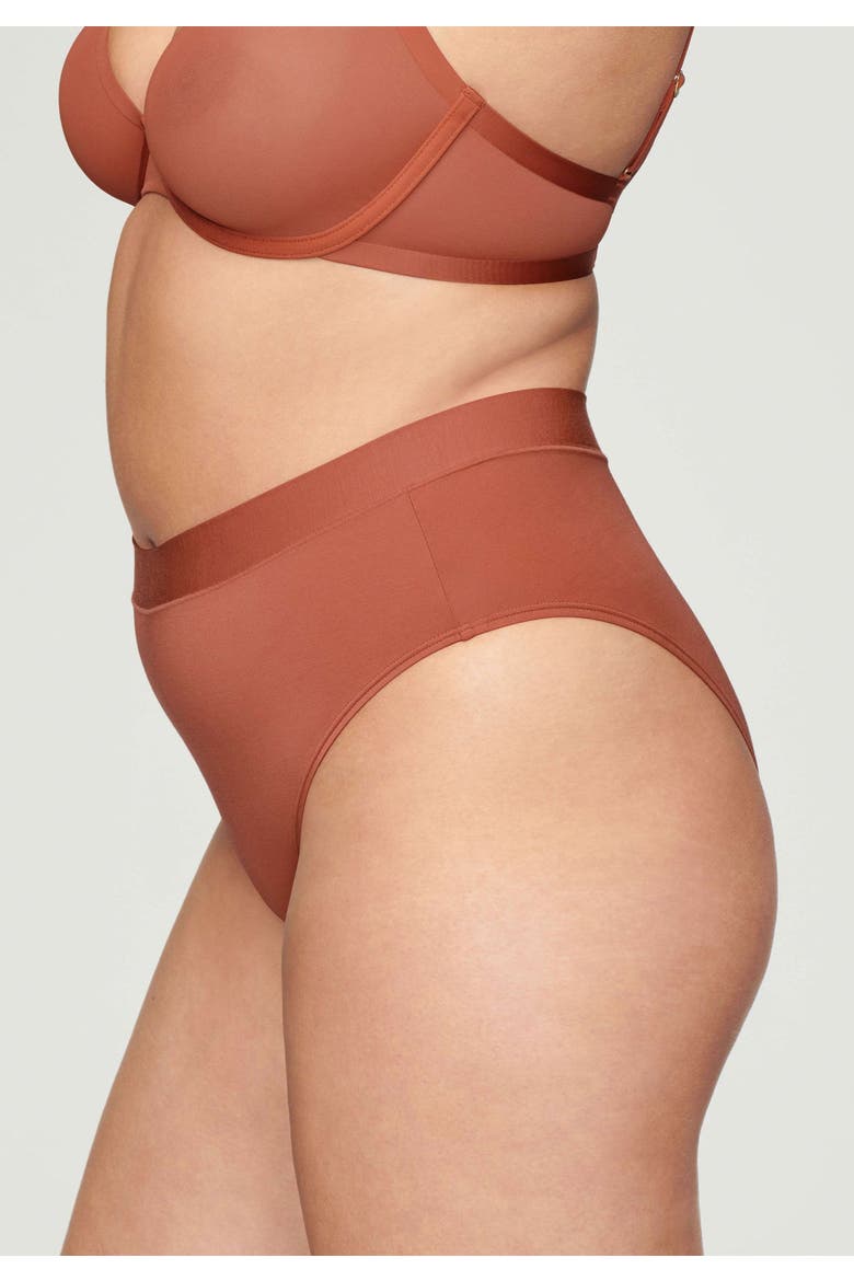 The Highwaist, Alternate, color, CLAY
