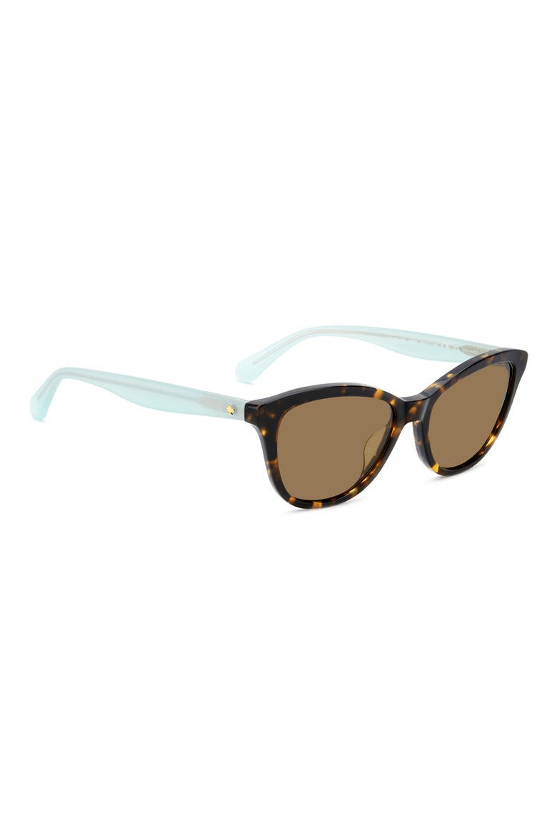 Tayla 55mm Sunglasses, Alternate, color, HAVANA/ BRONZE