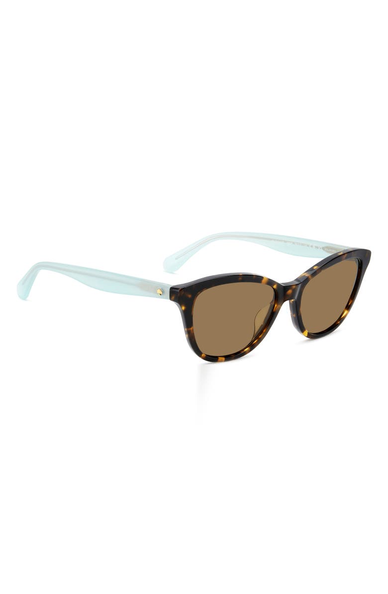 Kate Spade New York Tayla 55mm Sunglasses, Alternate, color, Havana/ Bronze