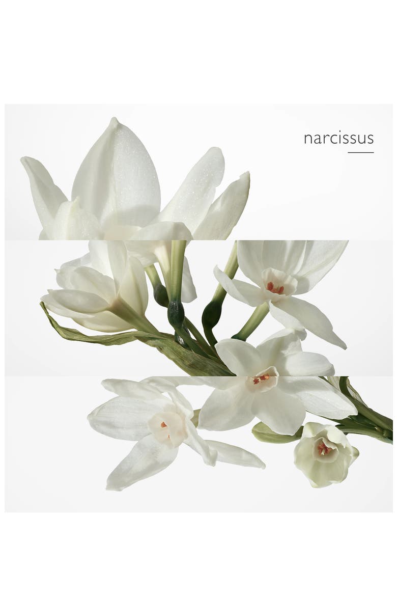 Eau de Narcisse Bleu - Eau de Cologne, Alternate, color, NO COLOR