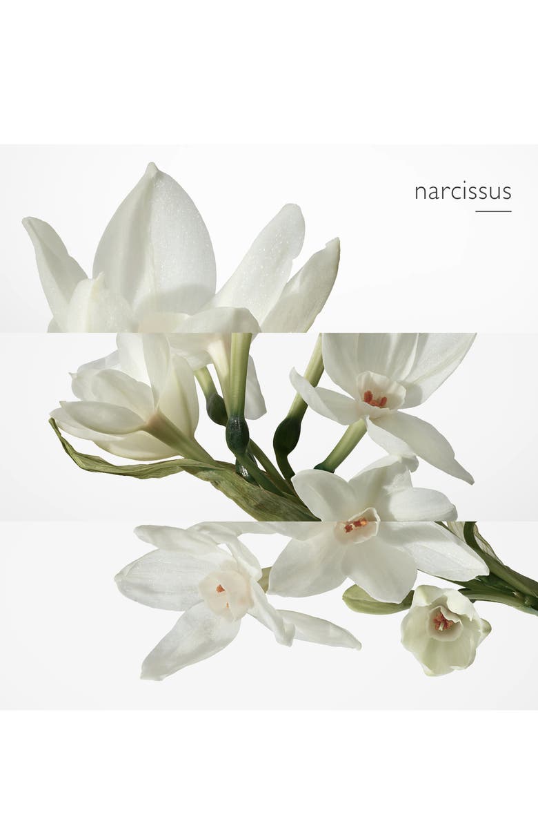 Hermès Eau de Narcisse Bleu - Eau de Cologne, Alternate, color, 