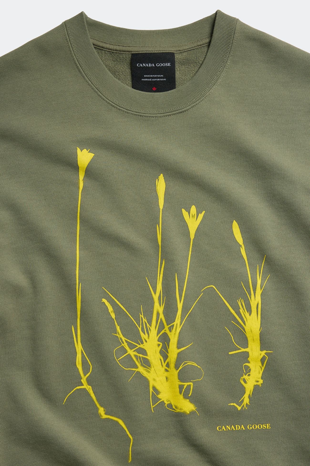 selected Vireo Green