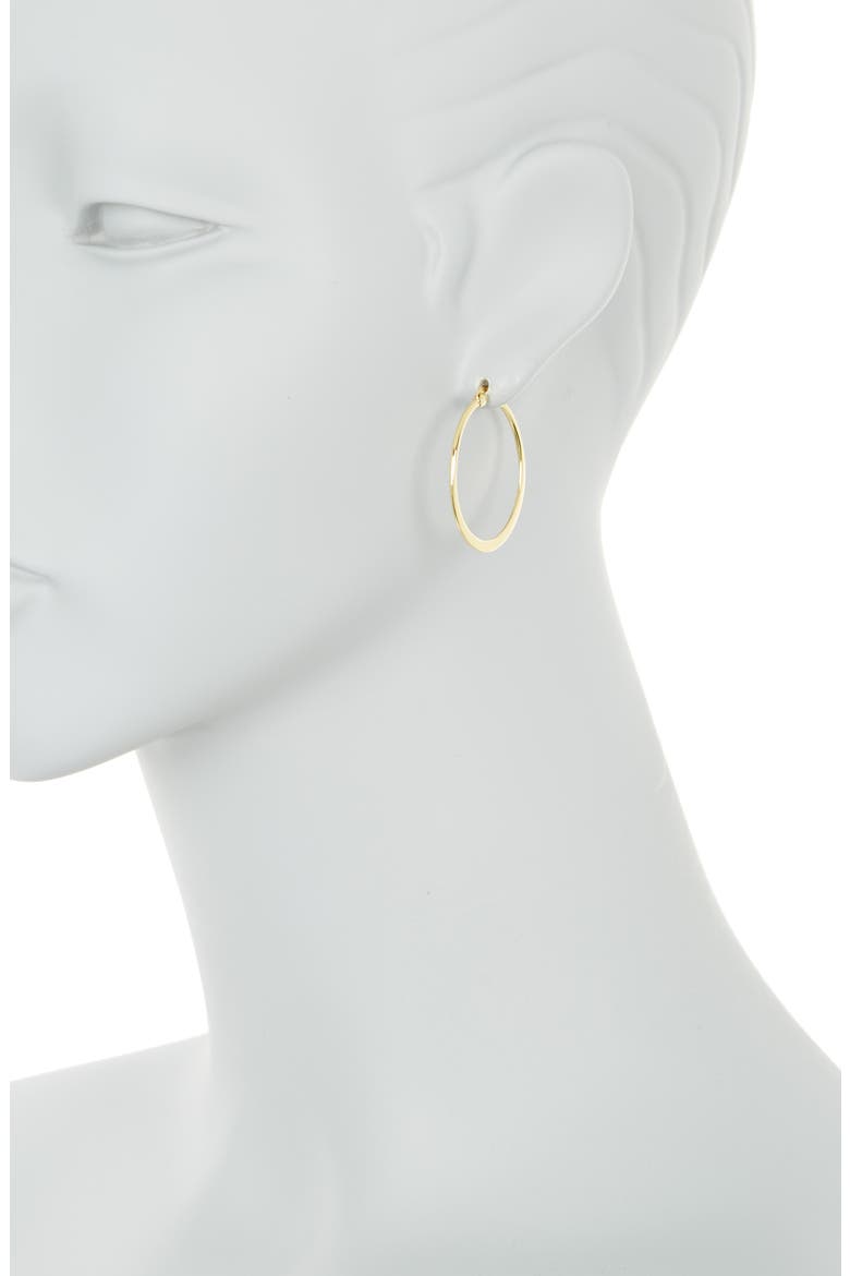 Large Flat Hoop Earrings, Alternate, color, GOLD