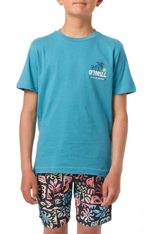 O'neill Kids' Palm Tree Cotton Graphic T-shirt