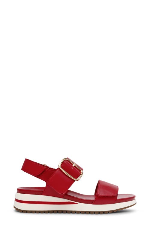 Anne Klein Evanti Ankle Strap Platform Sandal In Red