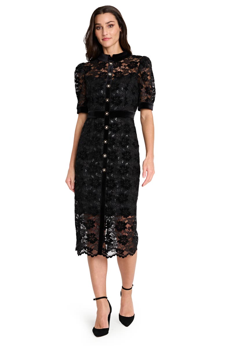 Tahari ASL Metallic Lace & Velvet Shirtdress, Alternate, color, Black