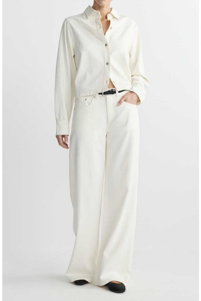 Montauk Aura Button-Up Denim Top, Alternate, color, EGGSHELL AURA