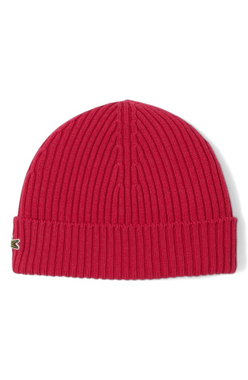 Lacoste Wool Cuff Beanie In Red