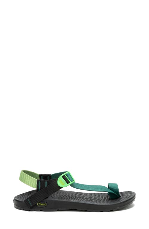 Chaco Bodhi Toe Loop Sandal