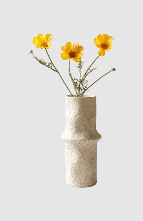 Yellow Cosmo Daisy Flower