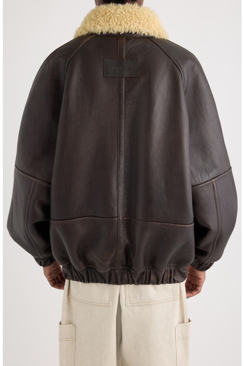 Le Bombardier Lambskin Leather & Genuine Shearling Aviator Jacket