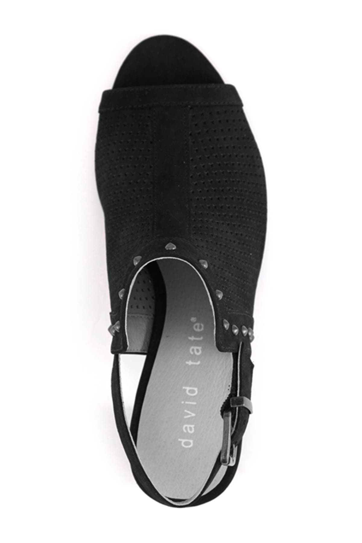 Pompei Block Heel Sandal, Alternate, color, BLACK NUBUCK LEATHER
