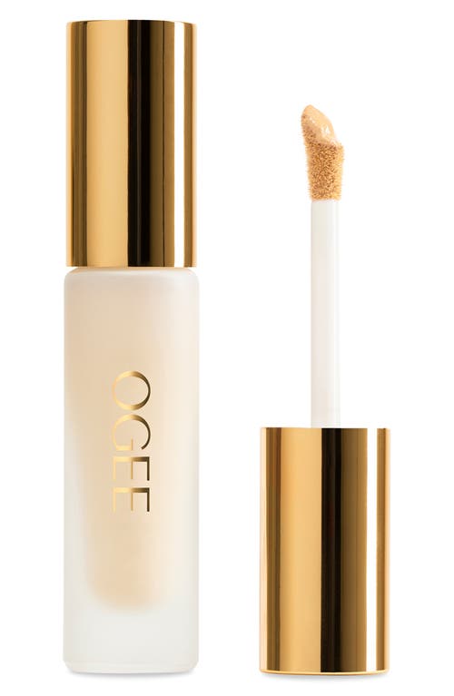 Ogee Complexion Perfecting Concealer In Green