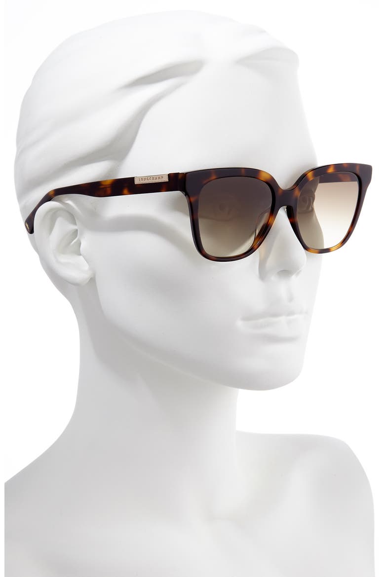 Heritage 53mm Rectangle Sunglasses, Alternate, color, HAVANA